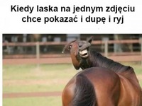 Laski takie są