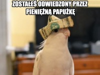 pieniężna papużka!