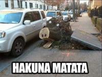 Hakuna matata ;D