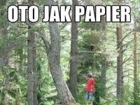 OTO JAK PAPIER