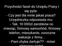 HAHA Mega żart o polskim rynku pracy XD Dla każdego :)