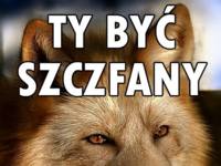 Ty byc szczfany :D