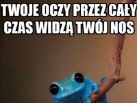 Twoje oczy przez cały czas widzą twój nos