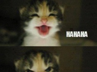 HAHAHA