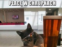 płacę w chrupkach