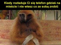 Rozładowany telefon