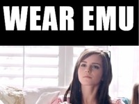 Wear EMU