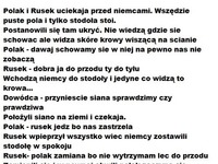 Polak i Rusek uciekają przed Niemcami. Zobacz co było dalej, beka!