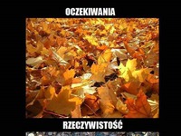 Oczekiwania vs rzeczywistość