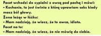 Wchodzi facet z owcą pod pachą do sypialni i mówi -Kochanie to jest...