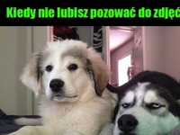 Nie lubię