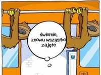 znowu zajęte