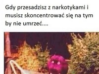 Gdy przesadzisz z narkotykami i musisz się skoncentrować