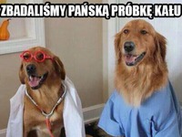 Cicho bądź