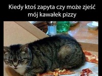 Moja pizza