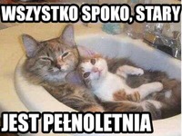 Wszystko spoko