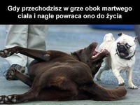 I nagle on wraca do życia