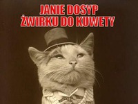 Janie dosyp żwirku do kuwety