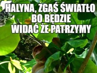 Na warszawskich rejestracjach AUDI! XD