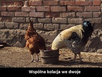 Kolacja we dwoje