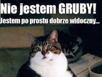 Ja nie jestem gruby!