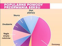 Popularne powody przerwania seksu :)