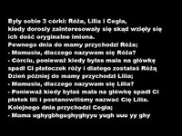 Matka miąła trzy córki Różę, Lilię i Cegłę. Pewne dnia spytały się dlaczego mają takie imiona.. Dlaczego cegła