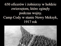 Wow! Coś naprawdę pięknego!