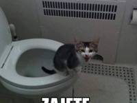 Zajęte :D