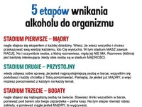 5 etapów wnikania alkoholu do organizmu! :)