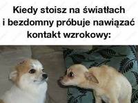 pojedynek spojrzeń