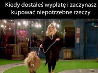 Wydaje hajsy