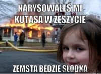 narysowales mi