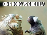 King Kong vs Godzilla