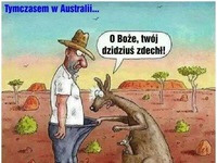 Tymczasem w Australii