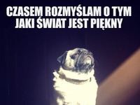 Świat jest PIĘKNY!