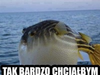 Tak bardzo chciałbym pierdnąć