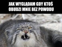 Jak wyglądam gdy ktoś obudzi mnie bez powodu :)