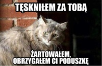 Tęskniłem za tobą :D