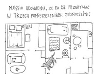 Śmieszne sytuacje, które zrozumieją tylko właściciele psów!