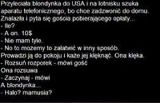 Przyleciała blondynka do USA i... Haha dobre! :D