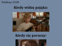 Pająk