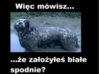 Więc mówisz...