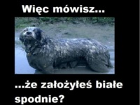 Więc mówisz...