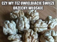 ORZECHY WŁOSKIE