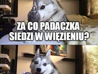 żart