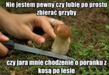 Dziwny jest