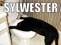 sylwesteeer