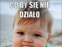 Damy rade