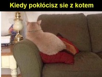 Obraził się